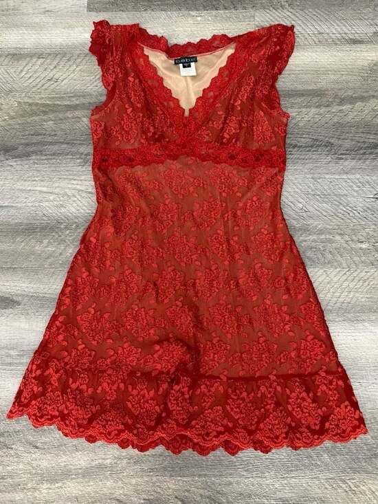 Bebe Dresses & Skirts - Vintage Bebe Y2K Floral Lace Mini Dress with Ruffle-Rust